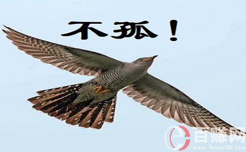 絕對(duì)的新型創(chuàng)業(yè)項(xiàng)目：人人都可做，收入不用說! 第2張