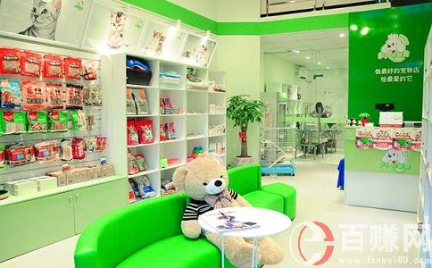 寵物店投資創業方案，關于開店前期需要投資的費用! 第1張